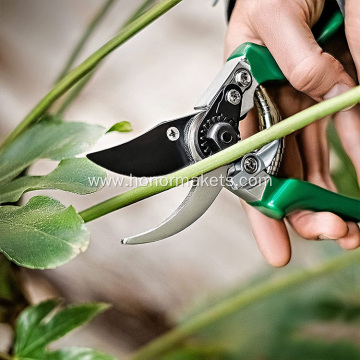 Green customized garden scissors pruner for tree/flowers, professional steel garden hand pruner for women